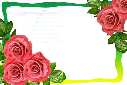 The buds of flowers roses. Holiday card photo