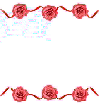 The buds of flowers roses. photo