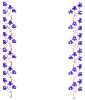 Bouquet of colorful flowers of violets. photo