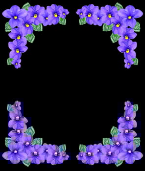 Bouquet of colorful flowers of violets. photo