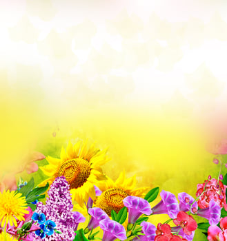 Multi colored beautiful flowers. photo