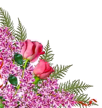 The buds of flowers roses. photo