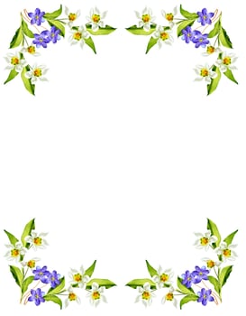 spring flowers snowdrops isolated on white background photo