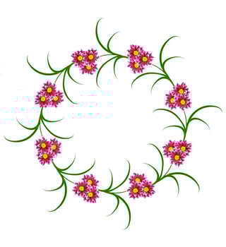 Flowers isolated on white background. photo
