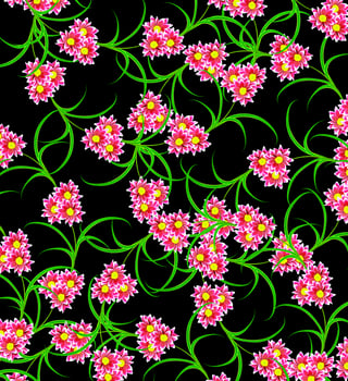 Flowers isolated on black background. photo