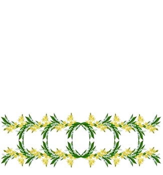 Flower lily isolated on white background. photo