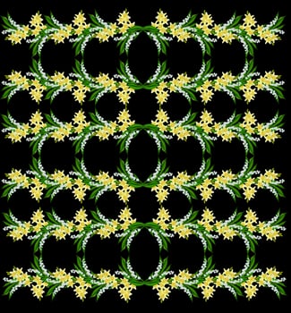 Flower lily isolated on black background. photo