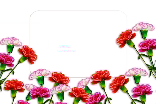 Bouquet of flowers carnation. photo