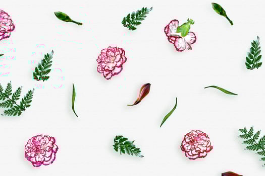 Bouquet of flowers carnation. Top view, flat lay. photo