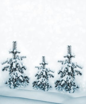 Winter forest. Winter landscape. photo