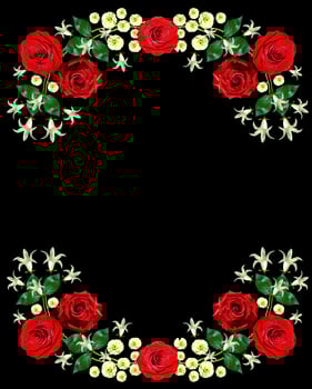 flowers roses and bells isolated on black background photo