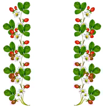 Sprig of flowers strawberries photo