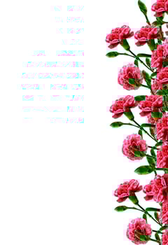 Bouquet of flowers carnation. Flowers isolated on white background. photo