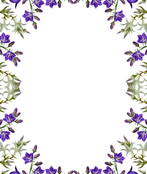 bell flower isolated on white background photo