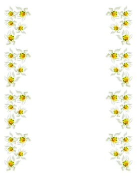 spring flowers snowdrops isolated on white background photo