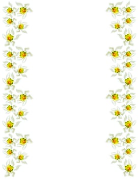 spring flowers snowdrops isolated on white background photo