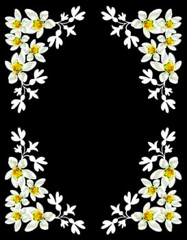 snowdrop flower isolated on black background photo
