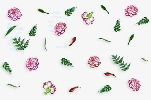 Bouquet of flowers carnation. Top view, flat lay. photo