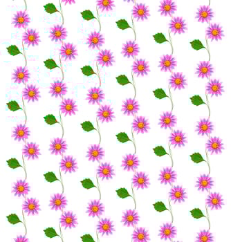 Colorful bright flower dahlia photo