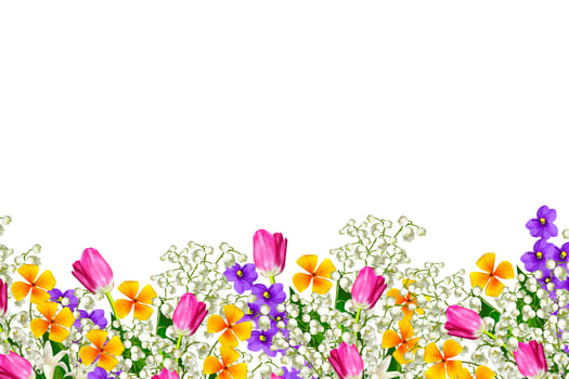 Colorful spring flowers photo