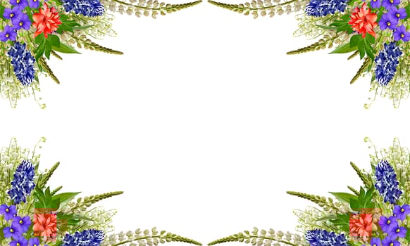 lupines beautiful flowers on a white background photo