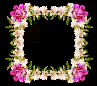 Frame of bright and colorful flowers isolated on a black background. photo