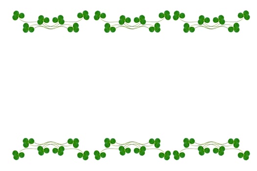 green clover leaves isolated on white background. St.Patrick 's Day photo