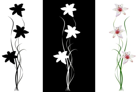 Beautiful spring flowers. photo