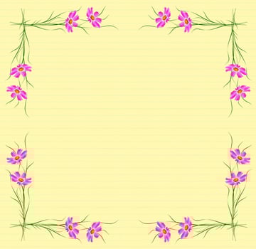 Branches of bright colorful flowers cosmos. Summer background. photo