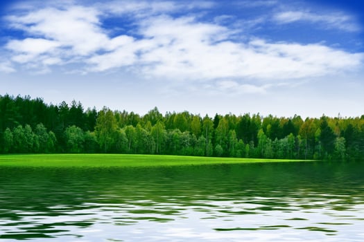 Landscape with the bright green trees and blue sky. photo