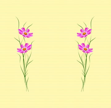 Branches of bright colorful flowers cosmos. Summer background. photo
