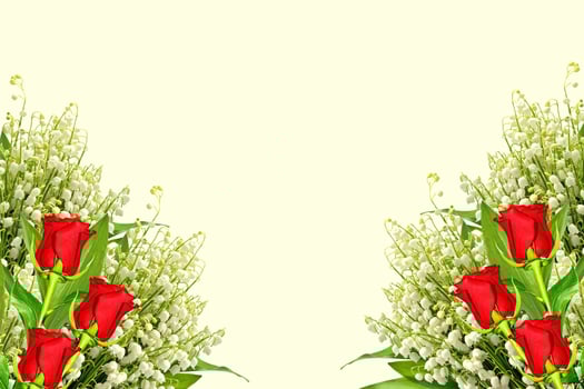 The branch of lilies of the valley flower photo
