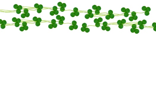 green clover leaves isolated on white background. St.Patrick 's Day photo