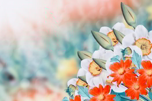 Colorful bright flowers on a background summer landscape. photo
