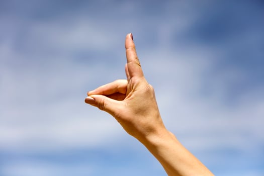 Alpaca hand sign photo