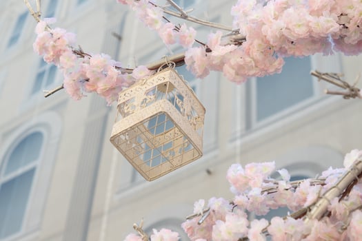 White decoraretive bird cage hanging on branch of blooming apple tree on building background. Spring city decoration photo