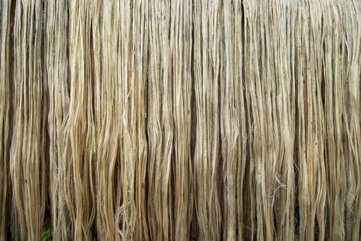 Closeup shot of raw jute fiber hanging under the sunlight for drying. Brown jute fiber texture and  background photo