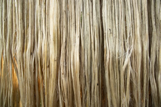 Closeup shot of raw jute fiber hanging under the sunlight for drying. Brown jute fiber texture and  background photo