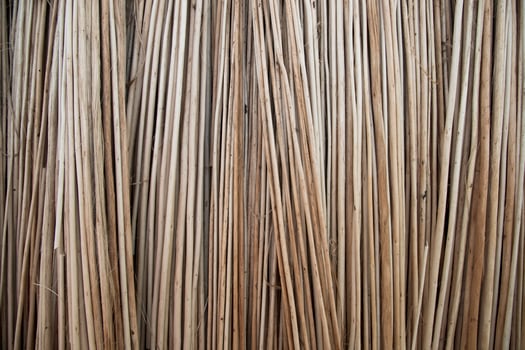 Rows and Rows of brown Jute Sticks Texture background of a field photo