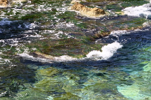 Rocky shore of the Mediterranean Sea in northern Israel. photo