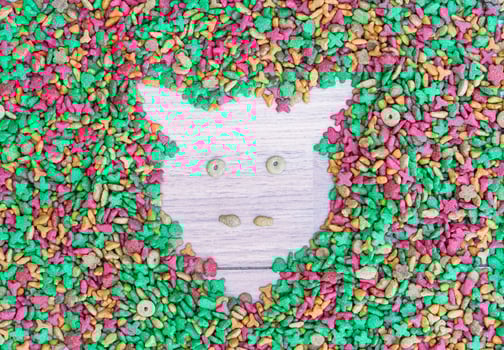 Dry cat food on wooden background photo