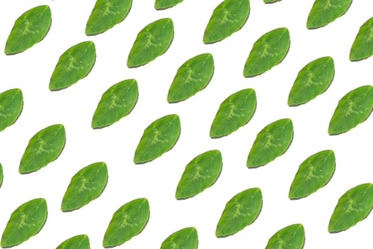 Green leaves background isolated on white photo