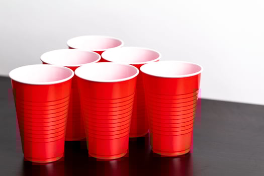 Beer Pong Game photo
