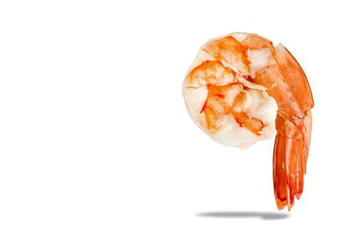 shrimp isolated on white background photo
