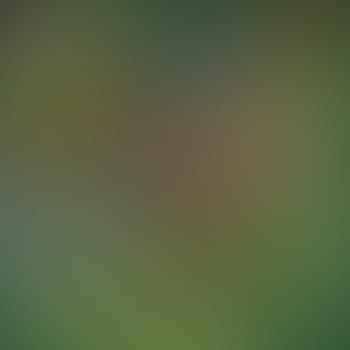 green gradient color perfect for background or wallpaper photo