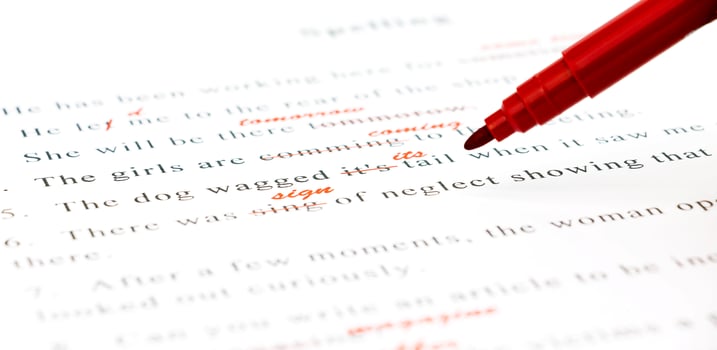 spelling check on English sentences photo