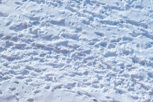 Snow background with many human, birds and animal tracks and footsteps photo