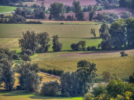 in the low mountains of hessen photo