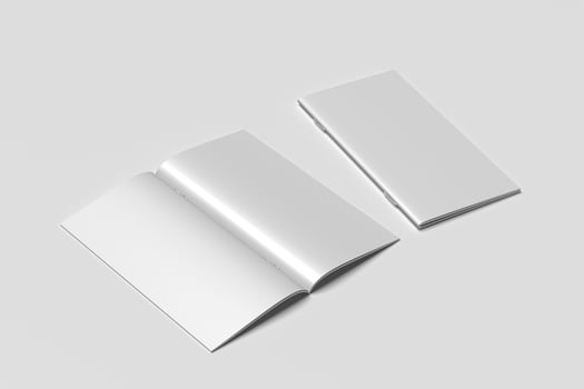 DL BIFOLD BROCHURE BLANK MOCKUPS photo