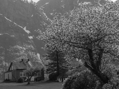 Eidfjord and the hardangerfjord in norway photo